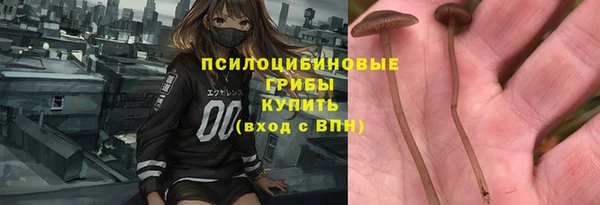 скорость mdpv Белокуриха