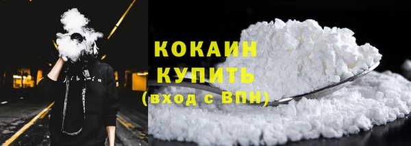 прущие грибы Белоозёрский
