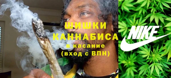 прущие грибы Белоозёрский