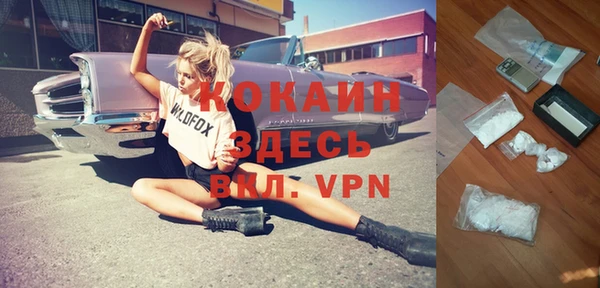 прущие грибы Белоозёрский